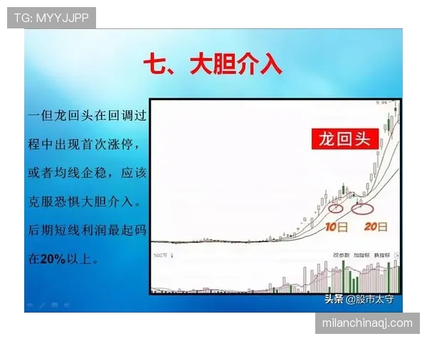 纪律委员会处罚规则解析：何时介入与影响判罚结果？